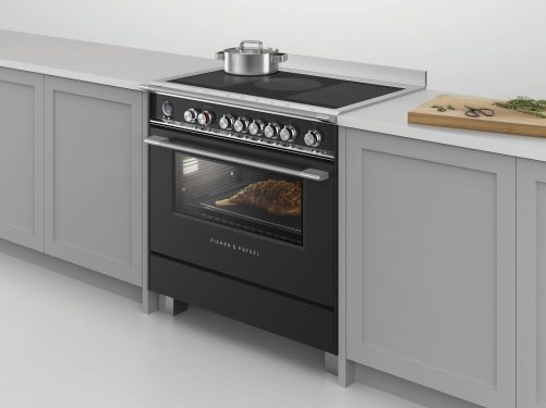 fisher & paykel Induction Cooker range