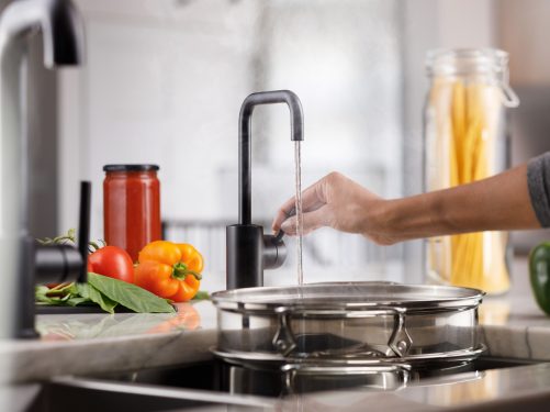 Kitchens-Review-Insinkerator Side Taps