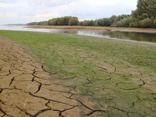 water crisis