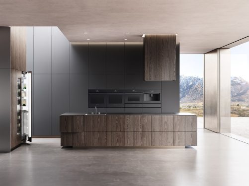 Fisher & Paykel