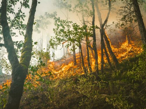 Kitchens Review Climate crisis water waste UWLA