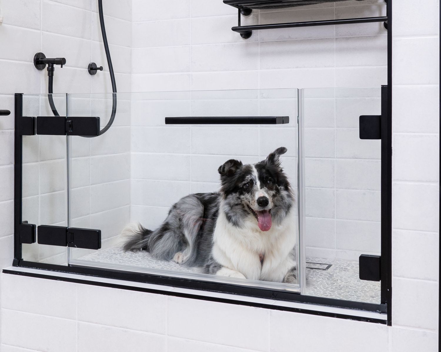 Merlyn showers dogwash