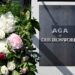 AGA-at-Diss_Ironworks_Launch-